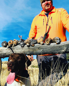 Birds, Booze, and Buds Podcast