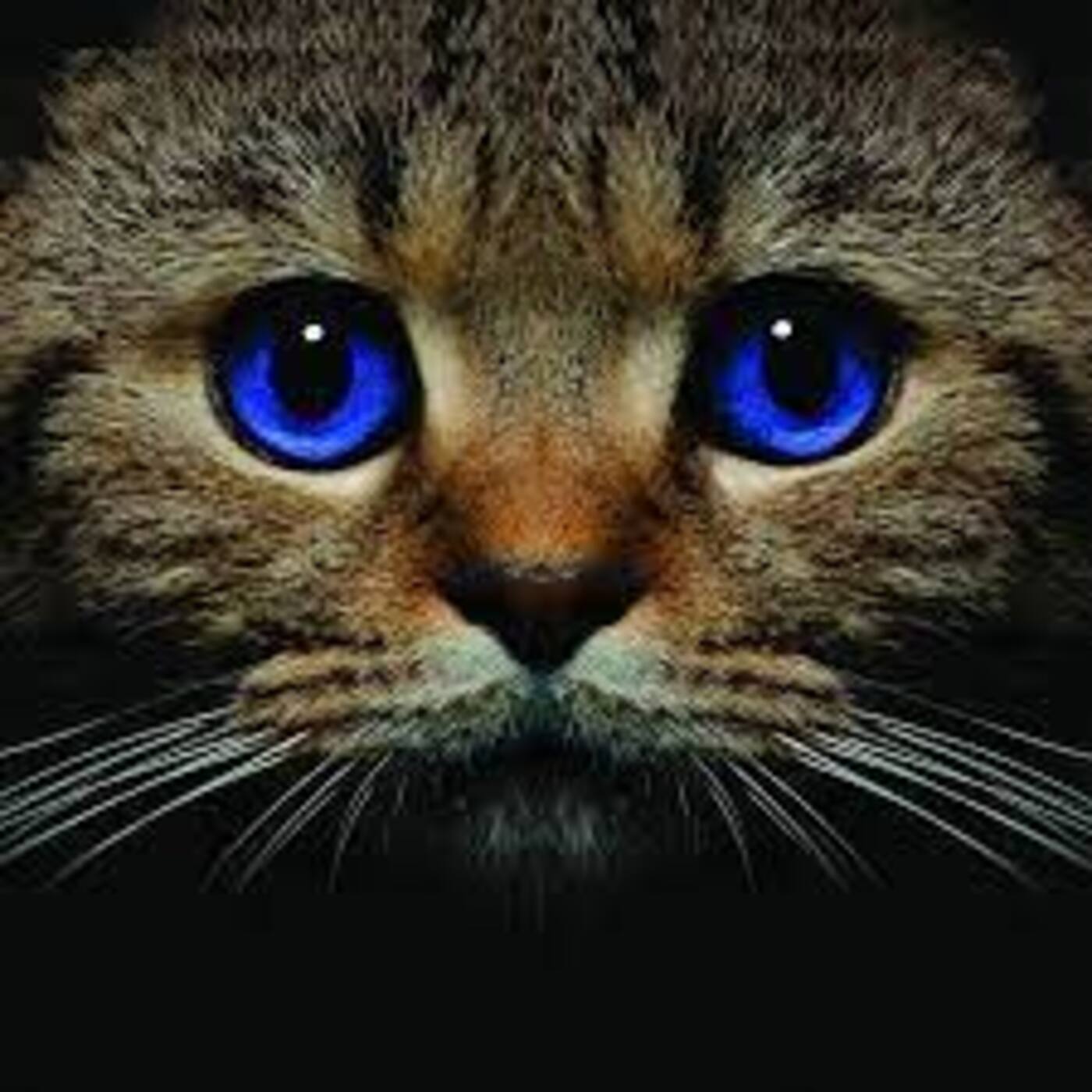 second-post-release af second-post-release