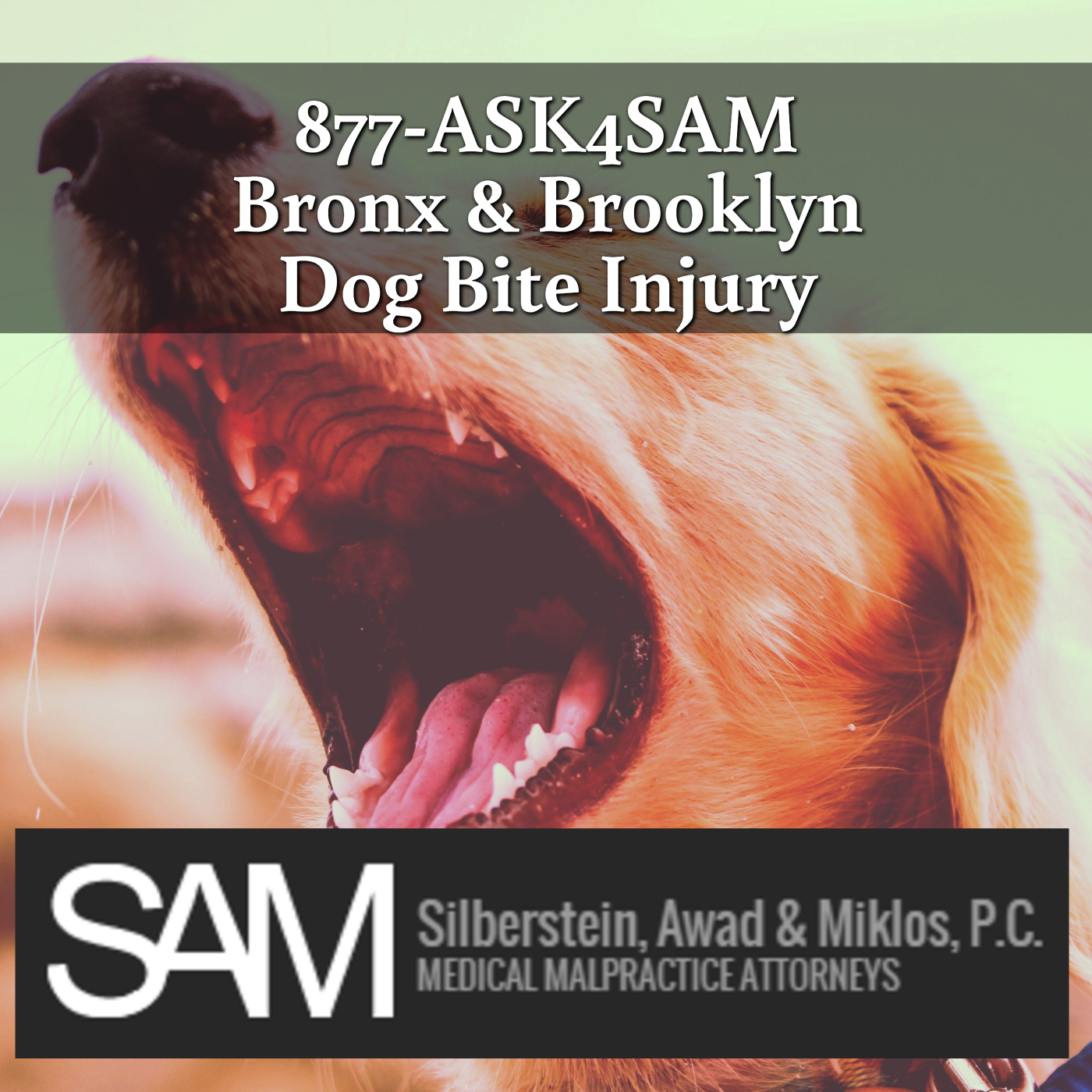 877-ASK4SAM | The New York Personal Injury Podcast