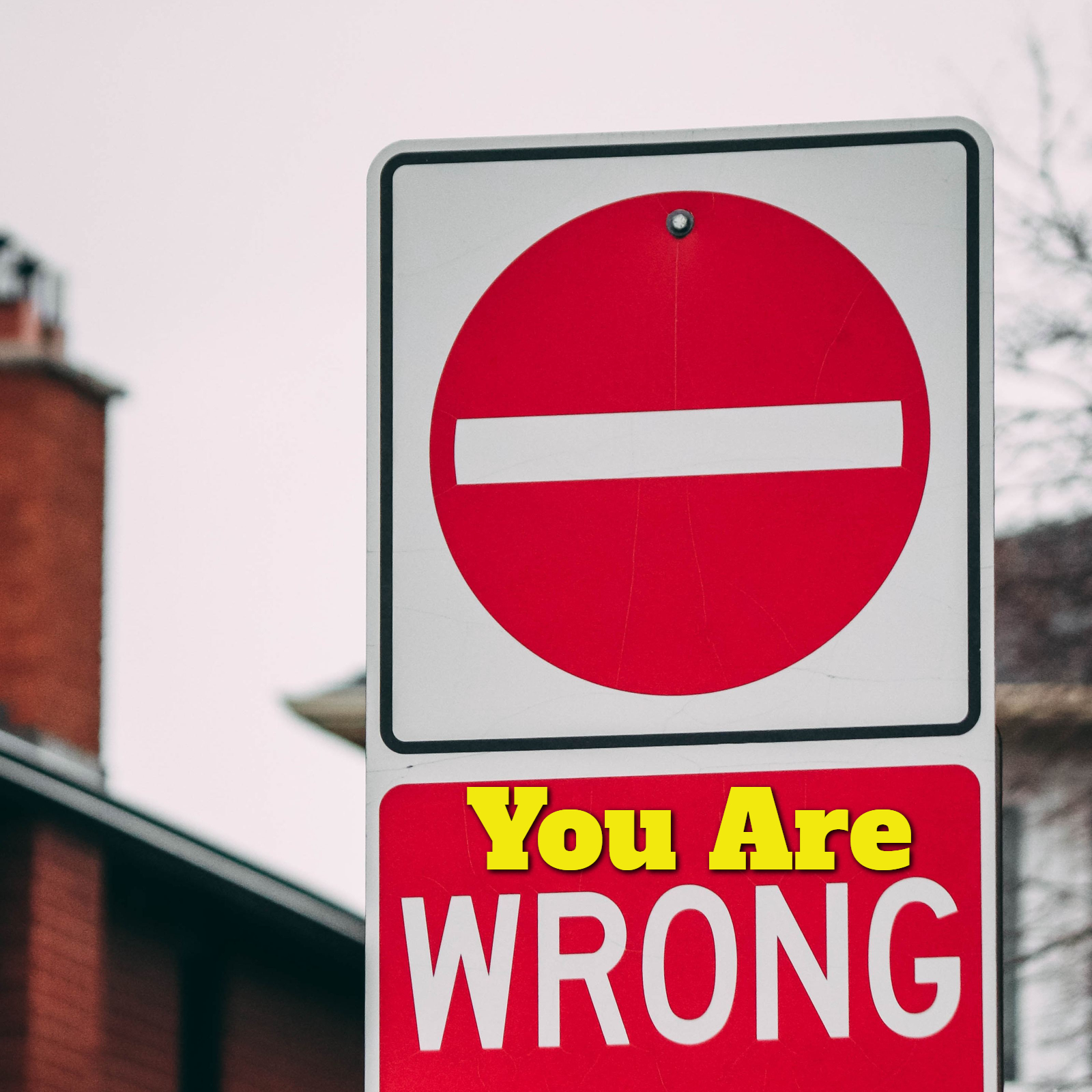 Ep. 8: You Are Wrong. episode artwork