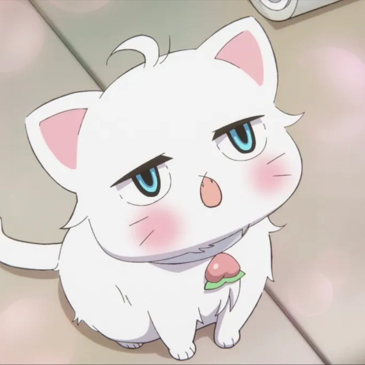 Cat From The Boss episode artwork