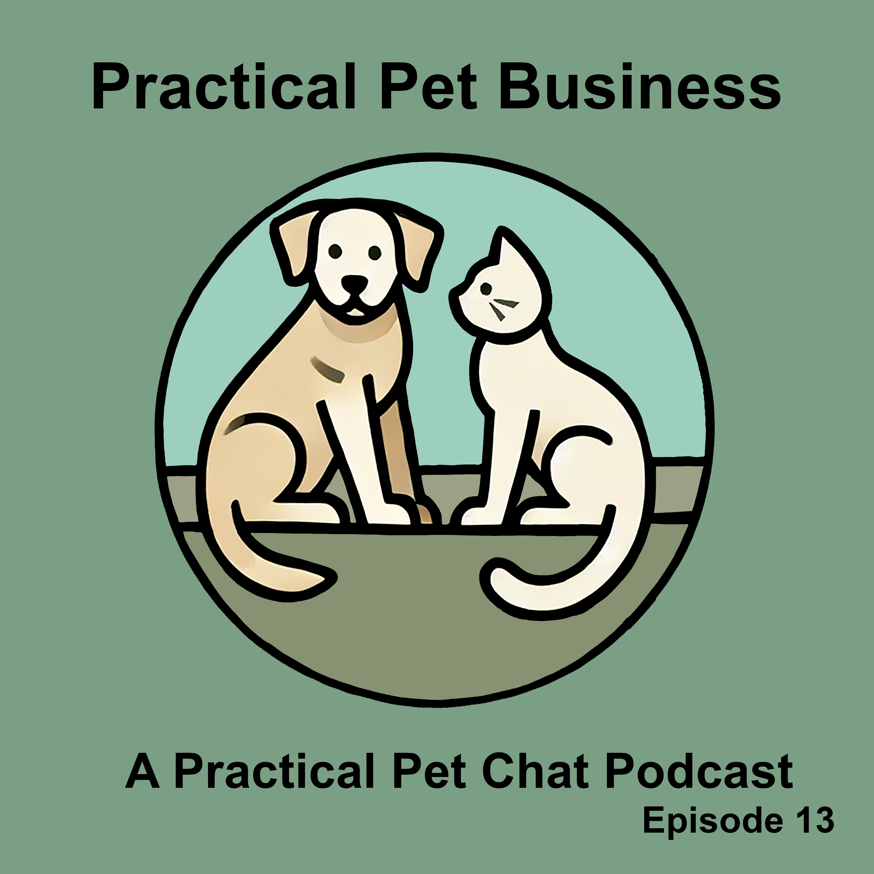 Practical Pet Chat