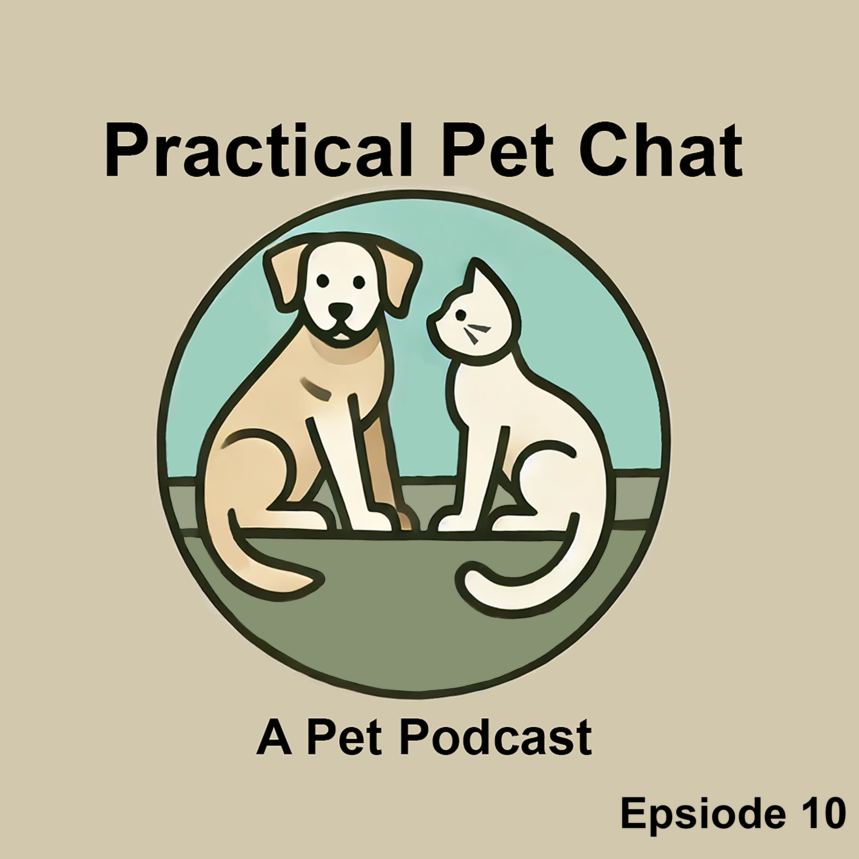 Practical Pet Chat