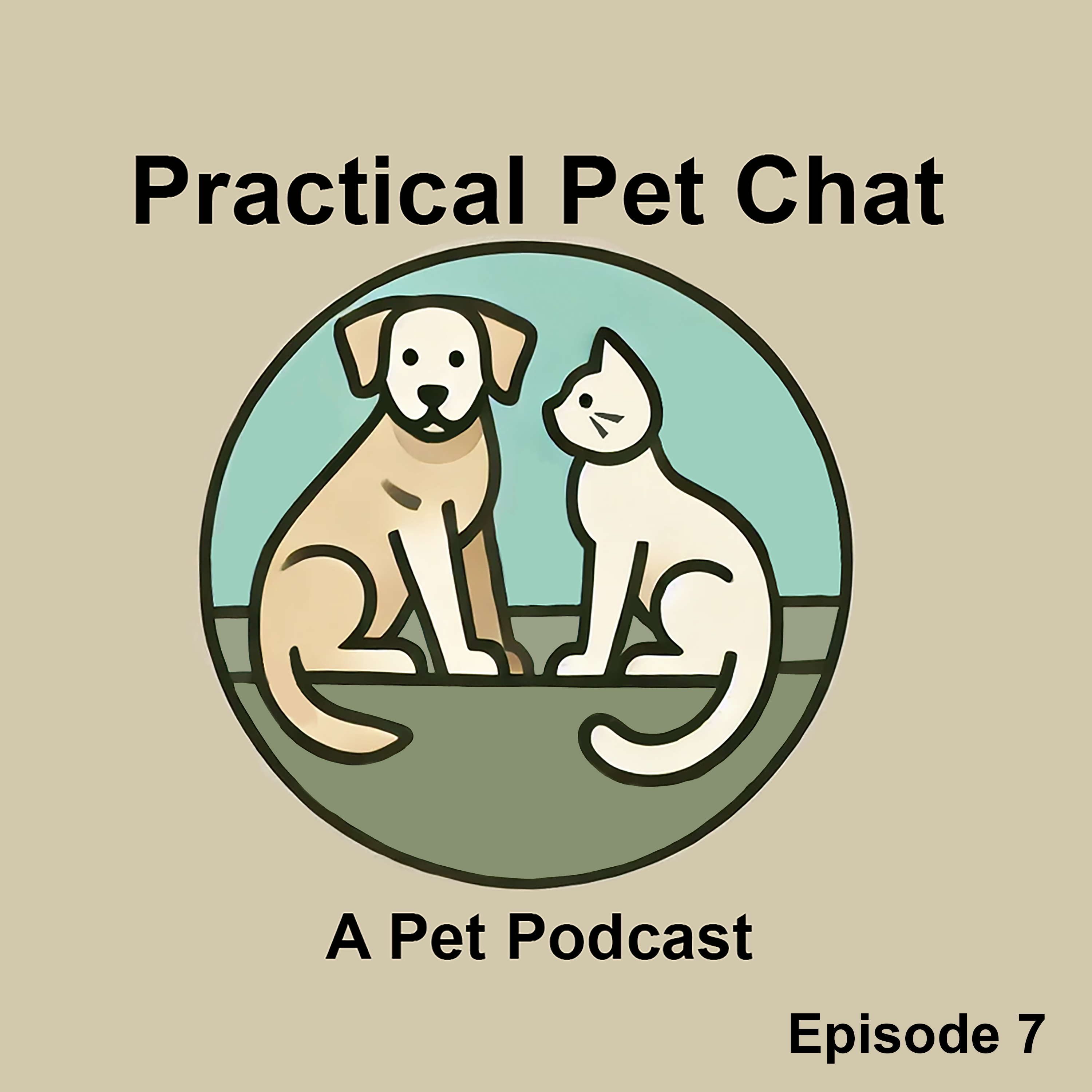 Practical Pet Chat
