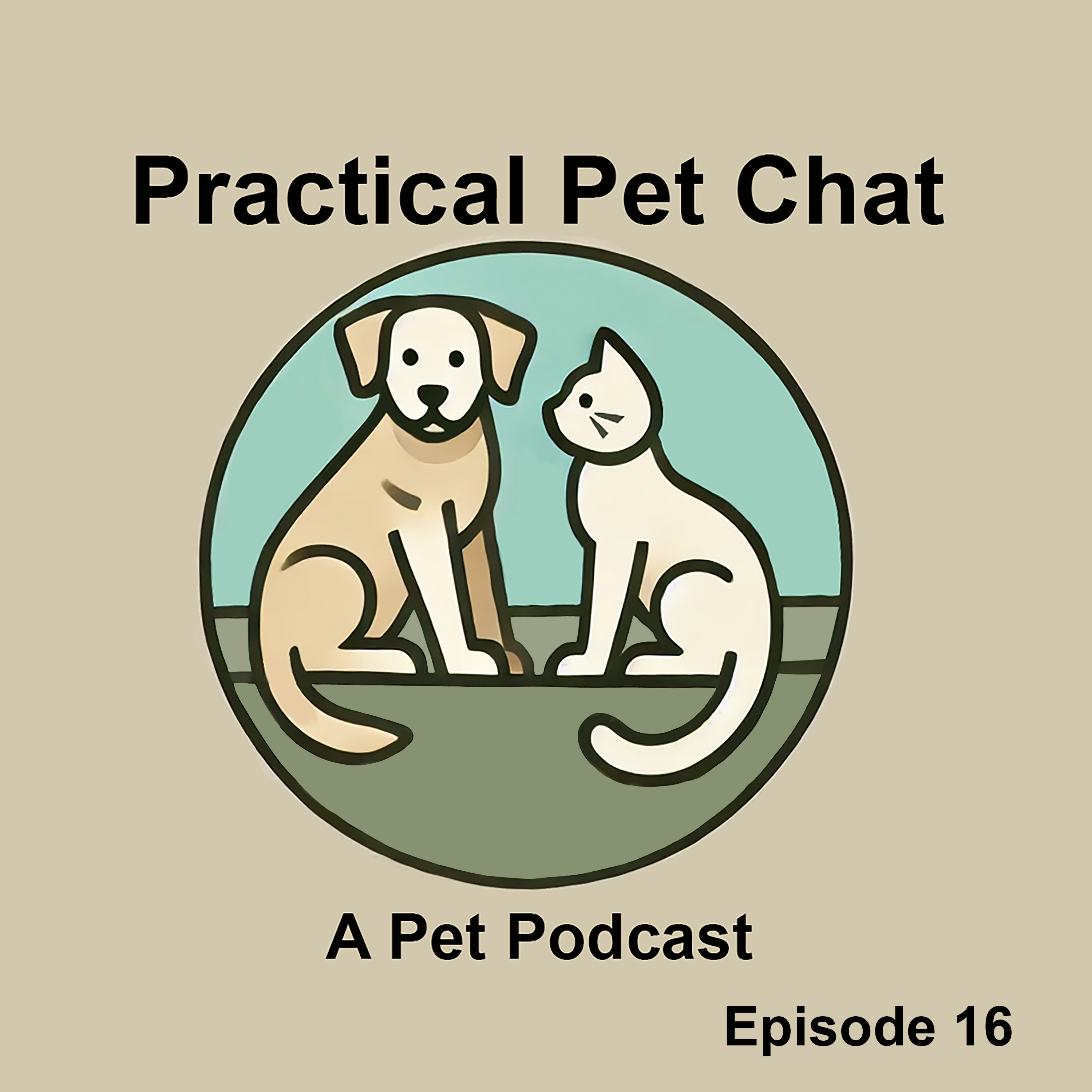 Practical Pet Chat