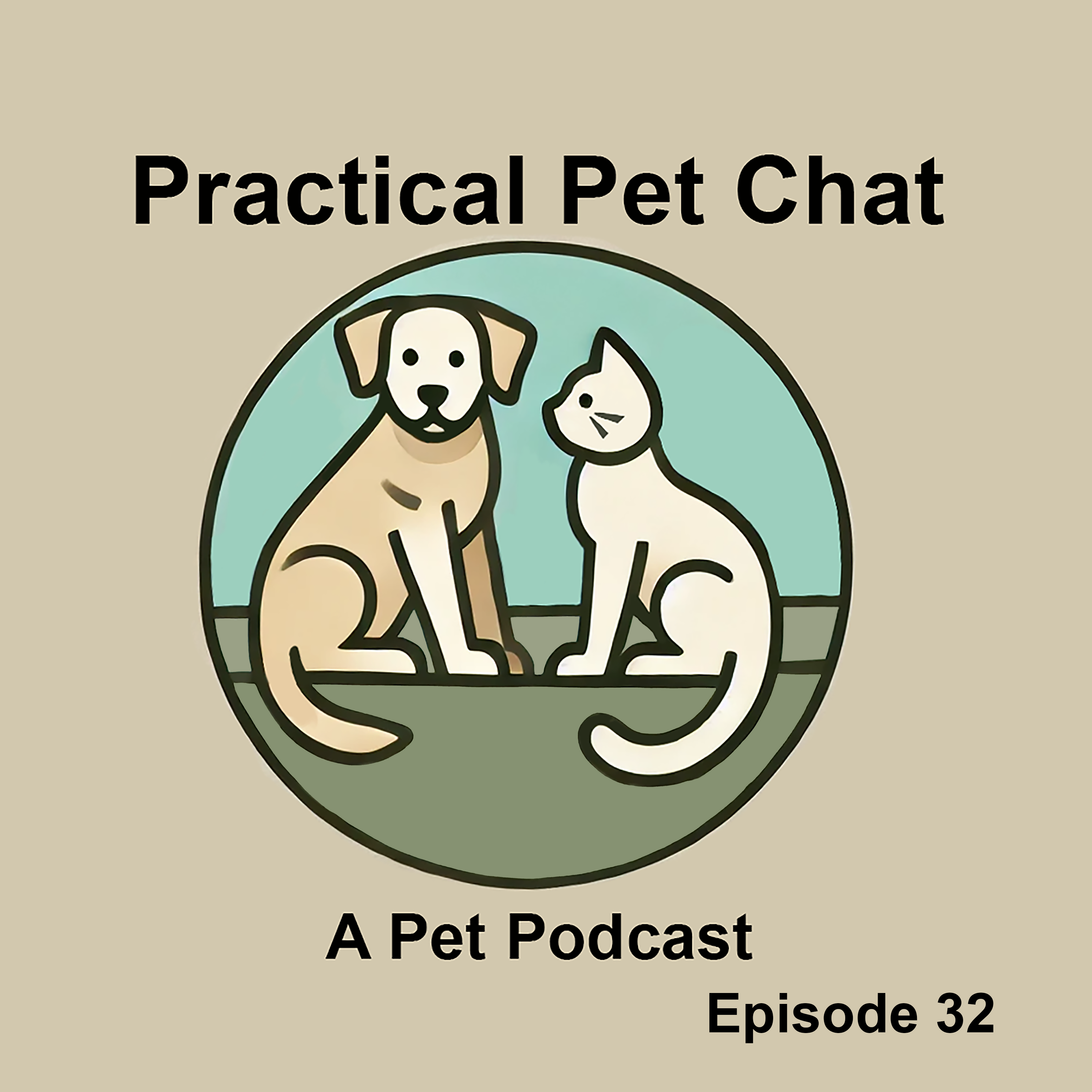 Practical Pet Chat