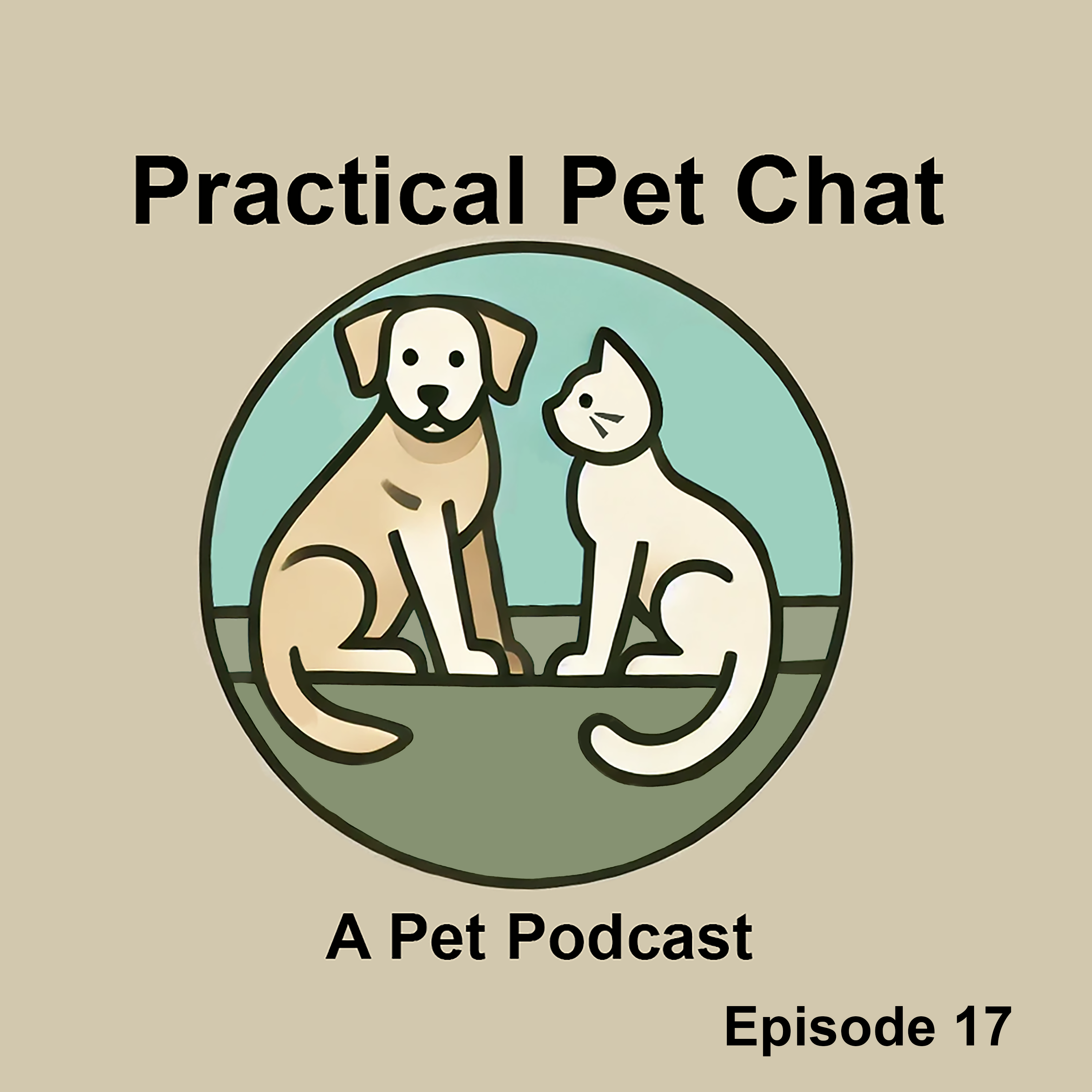 Practical Pet Chat